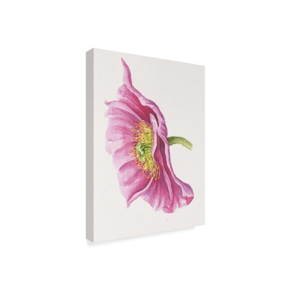 Janneke Brinkman-Salentijn 'Purple Poppy' Canvas Art,14x19